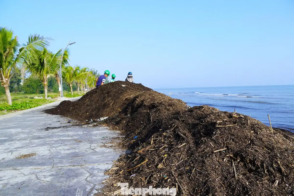 Cảnh tượng lạ ở biển Cửa Lò
