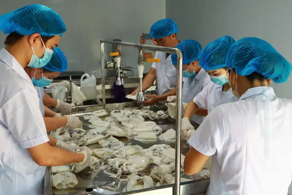 Ứng dụng công nghệ enzyme: Lời giải chuẩn hóa chất lượng chả mực Vân Đồn