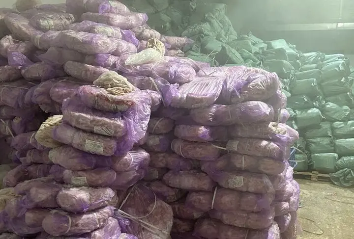 Lạng Sơn phát hiện hơn 5 tấn chân gà không rõ nguồn gốc
